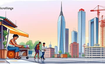 Micro-Loans to Mega-Credits: A Broad Look